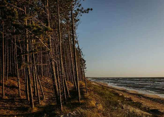 Gryglowka ロッジ Łazy